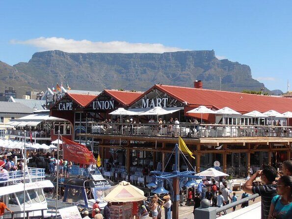 Hop-On Hop-Off Cape Town Canal Cruise - Key highlights you’ll feel right away