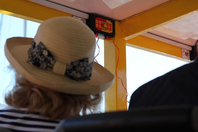 Hop-On Hop-Off Cape Town Canal Cruise - Timing Tips: Early Waits and Weather Reality