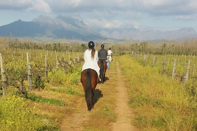 Horse Riding Wildlife Safari - The 240ha Ride: What It Feels Like at Horse Height
