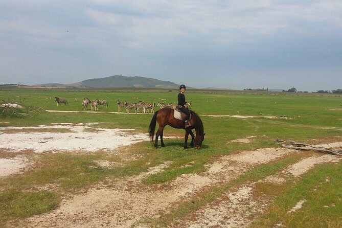 Horse Riding Wildlife Safari - Small Group Comfort: The Real Benefit of 7 People