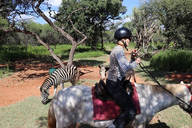 Horseback Safari Adventure in Hartbeespoort from Johannesburg - Guides and the Human Touch: Mike and Tim Energy