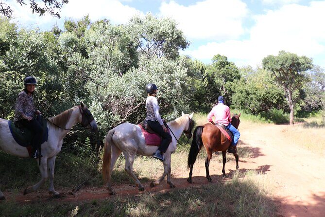 Horseback Safari Adventure in Hartbeespoort from Johannesburg - Who Should Book This Horseback Safari (and Who Might Skip It)