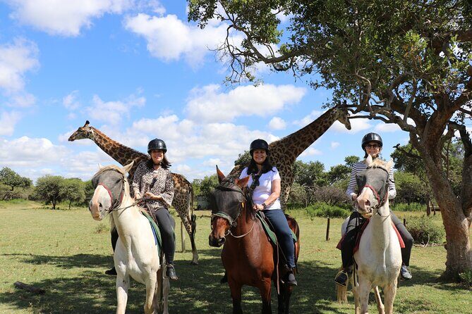 Horseback Safari Adventure in Hartbeespoort from Johannesburg - Wildlife You Might See From the Saddle