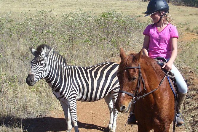 Horseback Safari Tour - Timing Options: Morning 08:30 vs Afternoon Ride