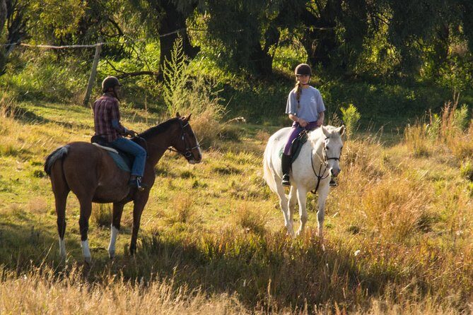 Horseback Small-Group Trail Rides in Muldersdrift - Key things I’d bet on before you book