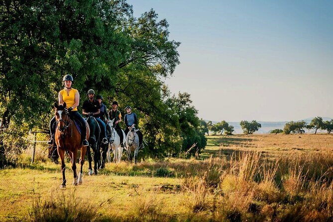 Horseback Small-Group Trail Rides in Muldersdrift - Shepherd’s Fold Stables: where the day starts calm and practical