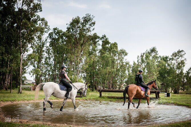 Horseback Small-Group Trail Rides in Muldersdrift - The guide experience: comfort for beginners, freedom for confident riders