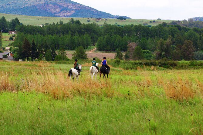 Horseback Small-Group Trail Rides in Muldersdrift - Views you’ll remember: Johannesburg, Magaliesberg, and Cradle of Humankind