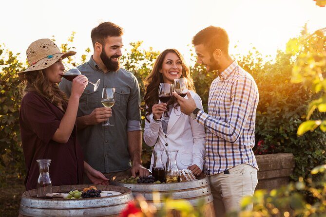 Hot Air Balloon and Wine Tasting Private Guided Tour - Klein Joosternberg Ballooning: The Wind-Driven Route and the Pickup Twist