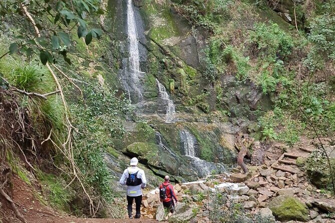 Incredible Table Mountain Guided Day Hike or Trail Run - Booking a 5-hour Table Mountain hike or trail run that matches your goal