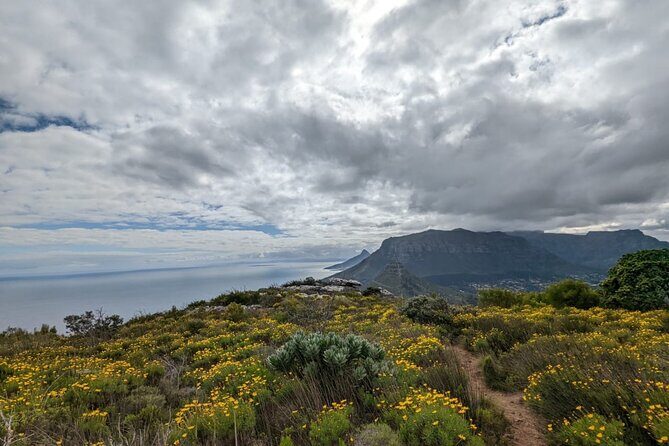 Incredible Table Mountain Guided Day Hike or Trail Run - Walking vs. trail running: the same mountain, different pacing