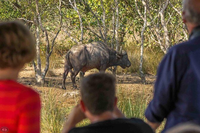 iSimangaliso Wetland Park, Full Day Tour - iSimangaliso Wetland Park: why this day feels worth the drive