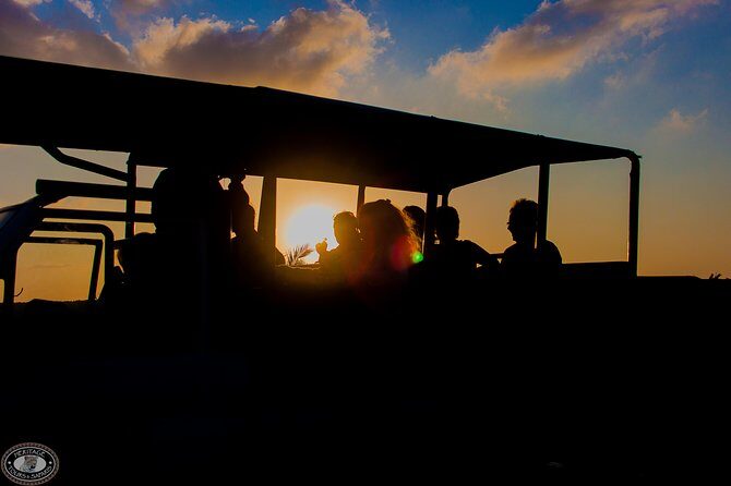 iSimangaliso Wetland Park, Full Day Tour - How to get the most from your 6–7 hour schedule