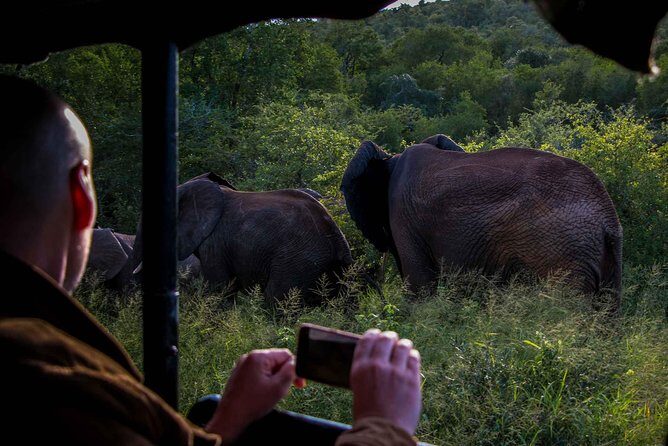 iSimangaliso Wetland Park, Night Drive Safari - Why iSimangaliso at Night Changes the Game