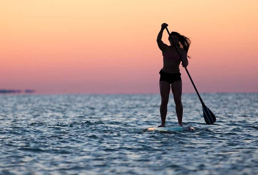 Jeffreys Bay: Stand Up Paddle Boarding - Flamingos and water birds: how to spot wildlife without ruining the calm