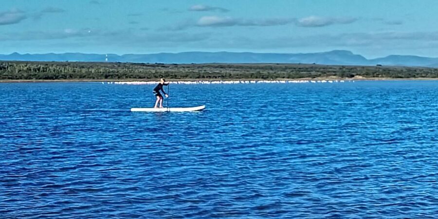 Jeffreys Bay: Stand Up Paddle Boarding - Your full flow: from kitting up to picnic spots