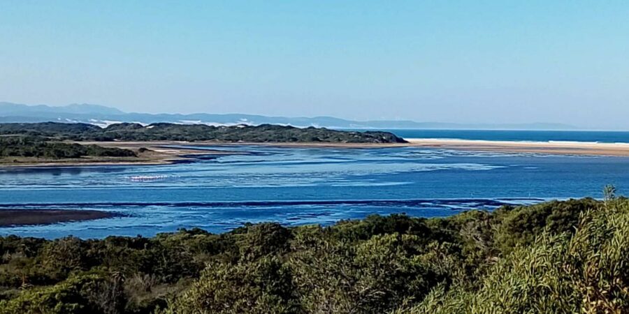 Jeffreys Bay: Stand Up Paddle Boarding - Who this Jeffreys Bay SUP tour suits best