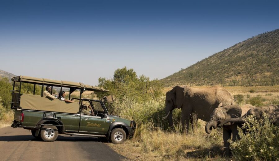 Johannesburg: 2-Day 4-Star Pilanesberg Safari - Guide impact: why your guide can make the difference