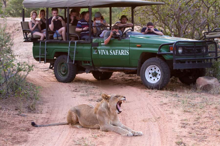 Johannesburg: 3-Day Classic Kruger National Park Safari Tour - Why this Kruger tour works as a classic 3-day plan
