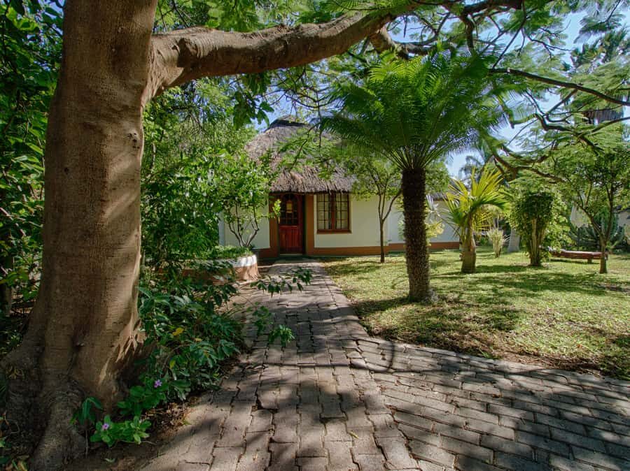 Johannesburg: 3-Day Classic Kruger National Park Safari Tour - What you can realistically expect to see (and how to think about Big Five)