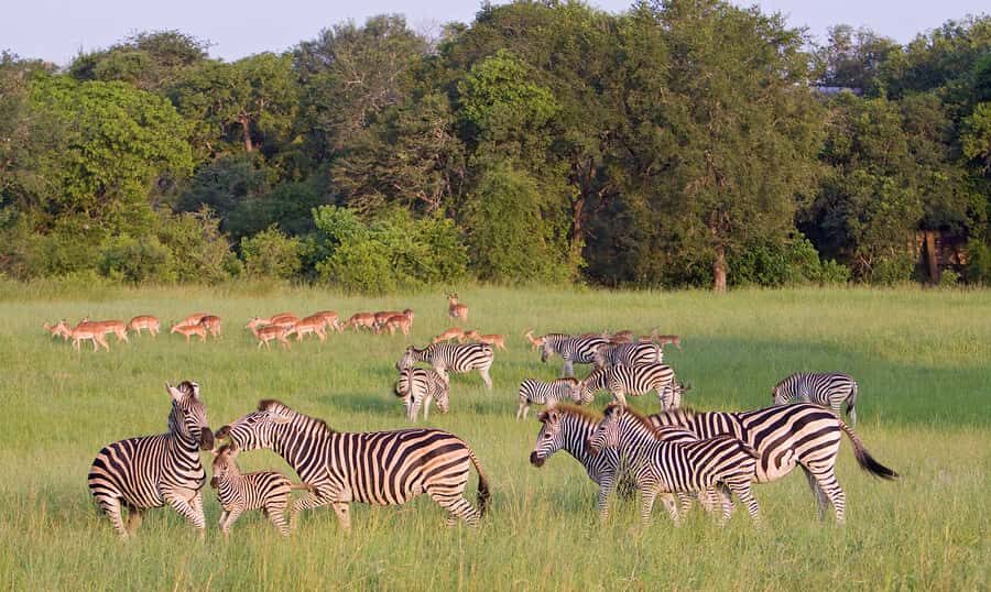 Johannesburg: 3-Day Panorama Tour with Kruger Park Safari - Berlin Falls, Bourke’s Luck Potholes, and Three Rondavels
