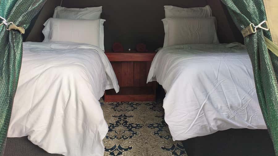 Johannesburg: 3-Day Pilanesberg Camping Adventure - Key things I’d watch for before you book