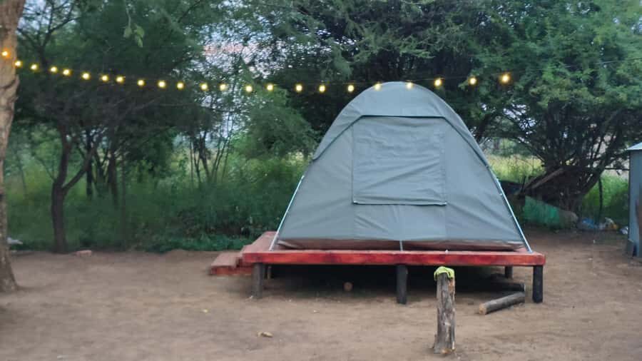 Johannesburg: 3-Day Pilanesberg Camping Adventure - Tlou Tented Safari Camp: electricity, camp cooking, and tent comfort that matters
