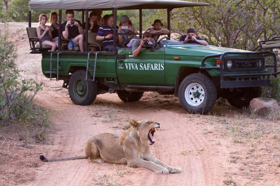 Johannesburg: 4-Day Classic Kruger National Park Safari - Key Highlights You’ll Feel Fast