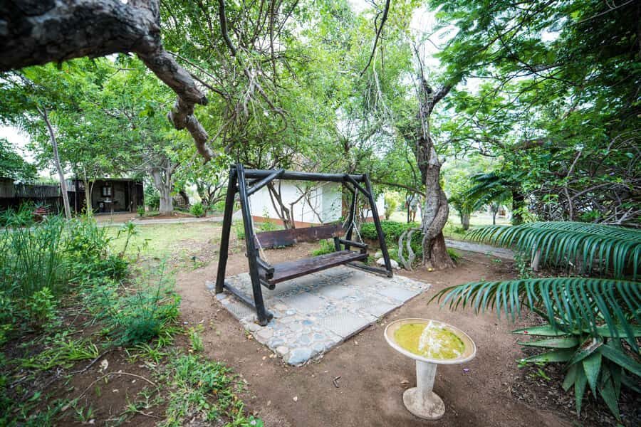 Johannesburg: 4-Day Classic Kruger National Park Safari - Who This Safari Suits Best (and Who Should Rethink It)