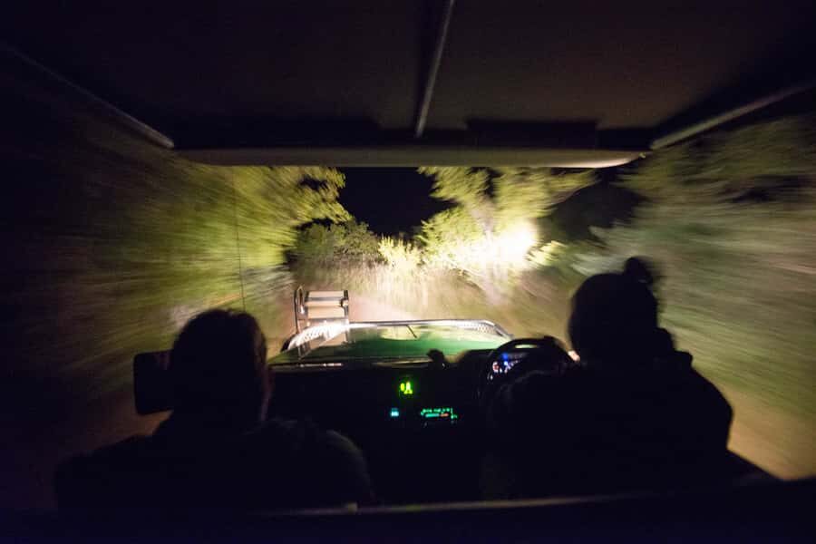 Johannesburg: 4-Day Classic Kruger National Park Safari - The 4-Hour Bush Walk With Armed Rangers: Worth the Early Start