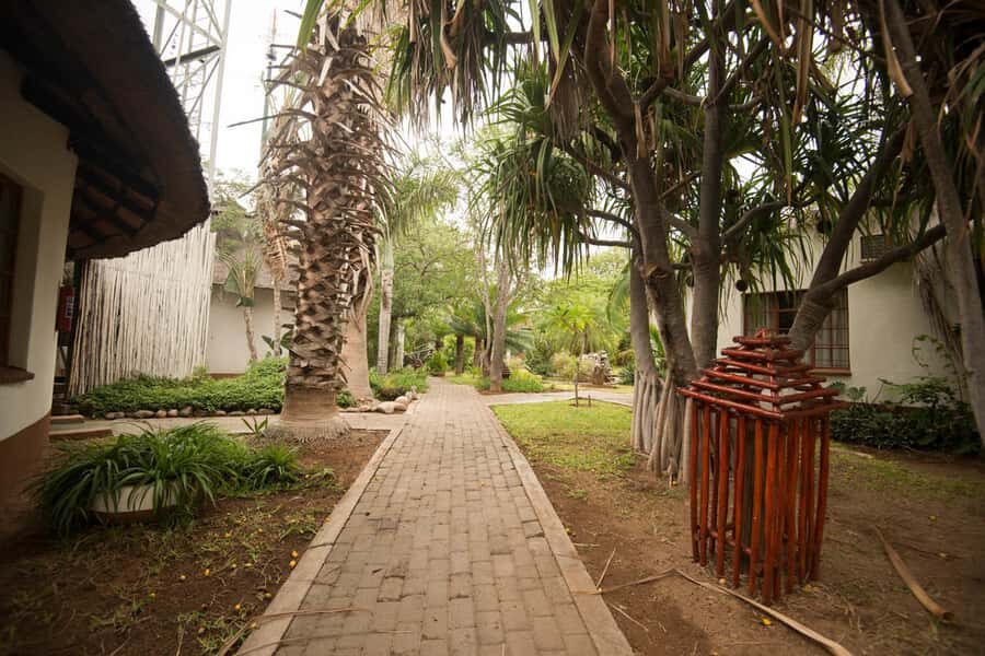 Johannesburg: 4-Day Classic Kruger National Park Safari - Price and What You Get for $1,120 (and What You’ll Still Pay)