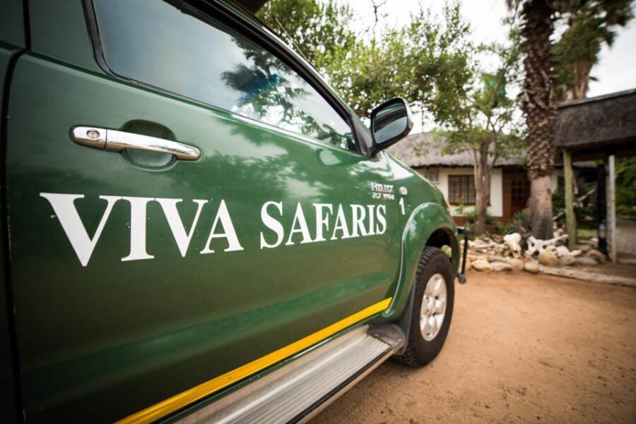 Johannesburg: 5-Day Classic Kruger National Park Safari - 4-hour bushwalk with armed rangers: close, safe, and unforgettable
