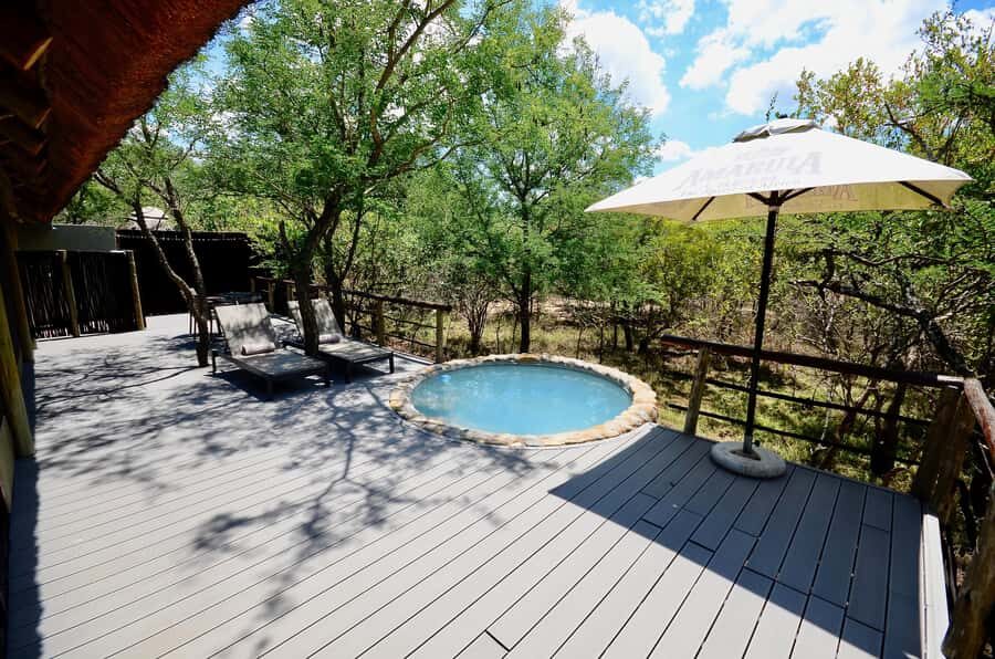 Johannesburg: 6-Day Luxury Kruger National Park Safari - Group size and comfort: luxury safari that stays practical