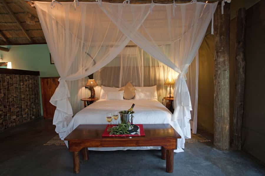 Johannesburg: 6-Day Luxury Kruger National Park Safari - Olifants River 4-hour bush walk: where adrenaline turns into learning