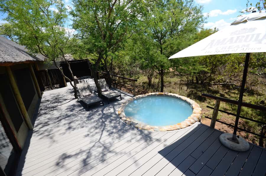 Johannesburg: 6-Day Luxury Kruger National Park Safari - Moholoholo Rehabilitation Centre: conservation you can actually see