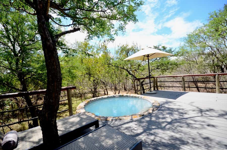 Johannesburg: 6-Day Luxury Kruger National Park Safari - Kruger Day 5: second full day of game viewing (and why you want it)