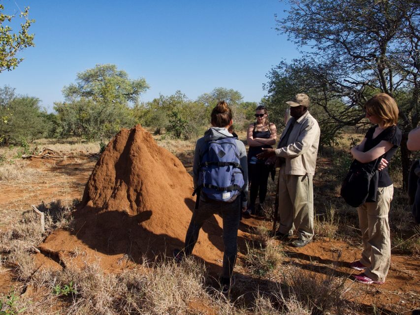 Johannesburg: 6-Day Luxury Kruger National Park Safari - Value and costs: what’s included, what you’ll likely pay extra