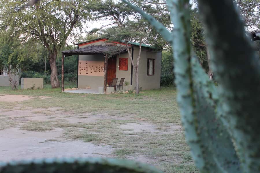 Johannesburg: Affordable 3 Day Kruger Park Safari - Day 2: The Orpen Gate day and open-vehicle viewing in Kruger