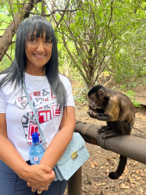 Johannesburg: Elephant and Monkey Sanctuary Half Day Tour - Should You Book This Johannesburg Elephant and Monkey Sanctuary Tour?