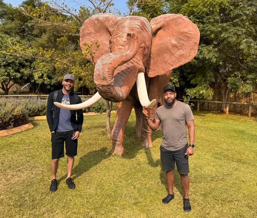 Johannesburg: Elephant and Monkey Sanctuary Half Day Tour - The Timing Works: How the Half-Day Structure Helps You Enjoy It