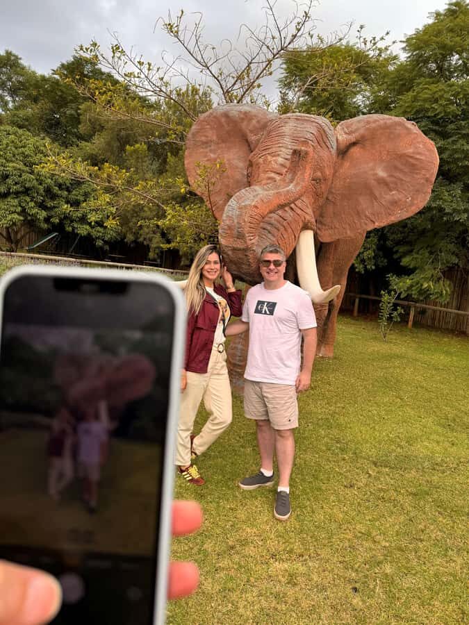 Johannesburg: Elephant and Monkey Sanctuary Half Day Tour - Price and Value: What You’re Paying For