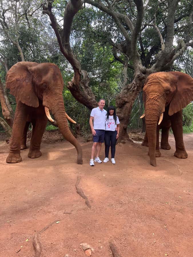 Johannesburg: Elephant and Monkey Sanctuary Half Day Tour - Who This Tour Suits Best (and Who Should Think Twice)