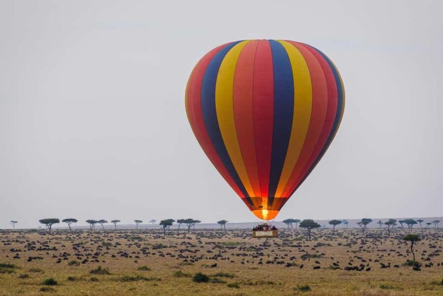 Johannesburg: Hot Air Balloon Flight - From Pickup to Takeoff: The Calm Before You Float