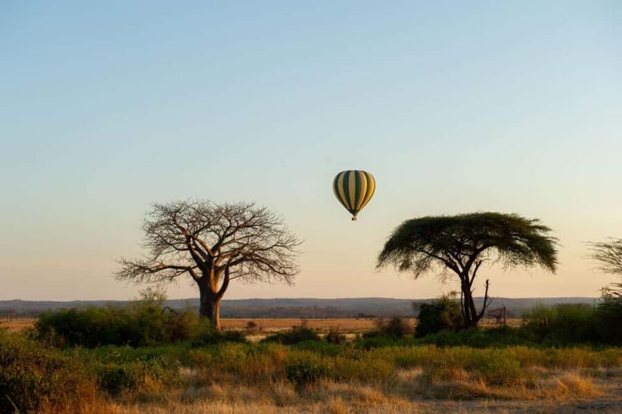 Johannesburg: Hot Air Balloon Flight - Your 60-Minute Balloon Flight: What You’ll See and What to Pay Attention To