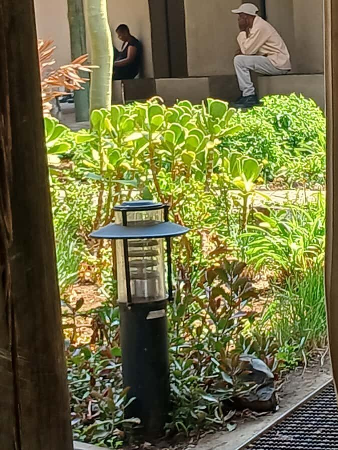 Johannesburg: Lion and Safari Park tour. Pick up Privately - Predators Plus Herbivores: What You’re Likely to Notice on Safari