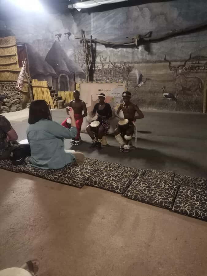 Johannesburg: Lion Park Safari and Cultural Village Tour - Lesedi Cultural Village: five homesteads and the Ubuntu idea