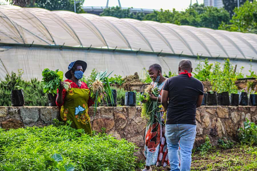 Johannesburg: Pan-African Cooking & Dinning Experience - Dining and storytelling: Wine, beer, and the chef’s personal journey