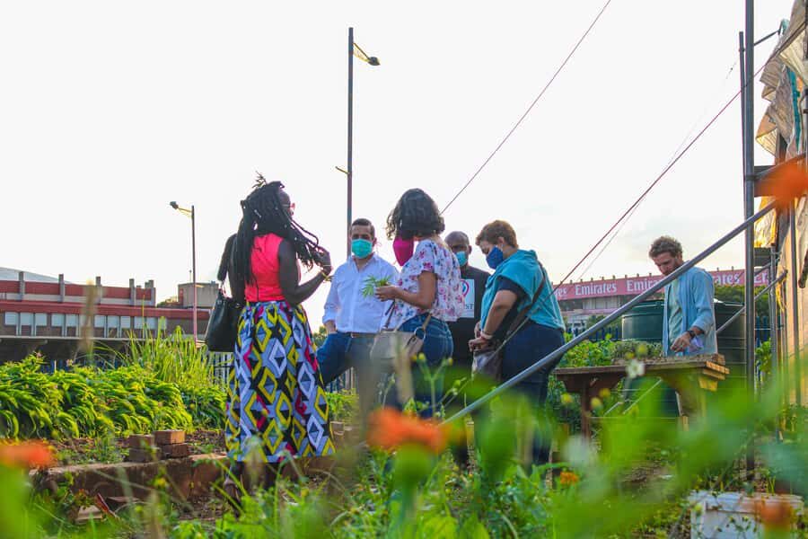 Johannesburg: Pan-African Cooking & Dinning Experience - Market tour in Johannesburg: Where the cooking story begins