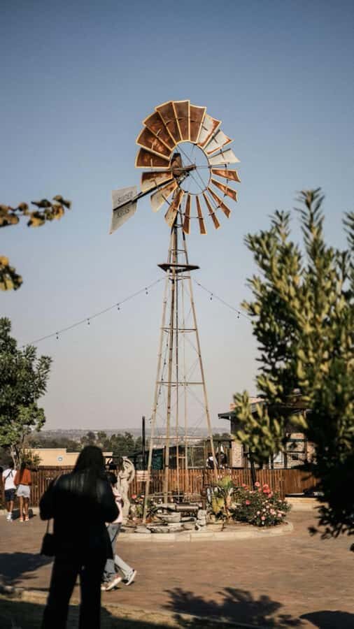 Johannesburg: Private Walking Tour with a Local - Meeting Up Near Ramunasi Attorneys or Your Central Base