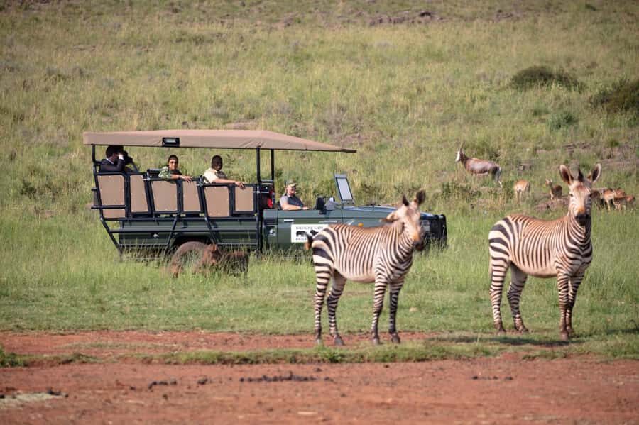 Johannesburg: Rhino and Lion Nature Reserve Safari - Key Things to Know Before You Go